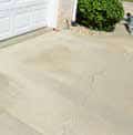 a concrete driveway with a white garage door and a bush in the background .