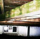 a close up of a a basement wooden plank with green mold