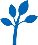 Helitech tree branch near foundation illustration for homeowner maintenance