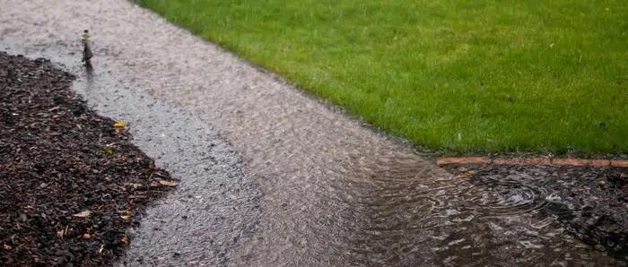there is a puddle of water on the sidewalk next to the grass .