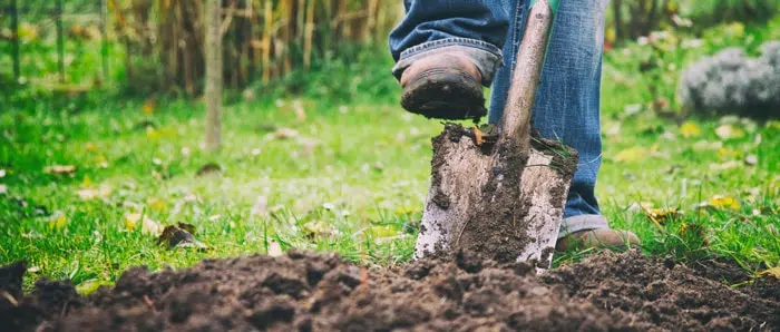 a person is digging in the dirt with a shovel .