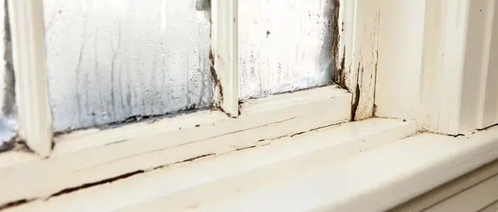 a close up of a window with a white frame and a broken glass .