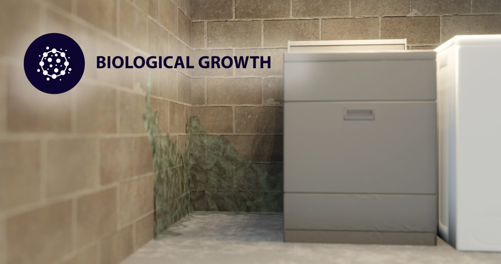 BIOLOGICALGROWTH-scaled