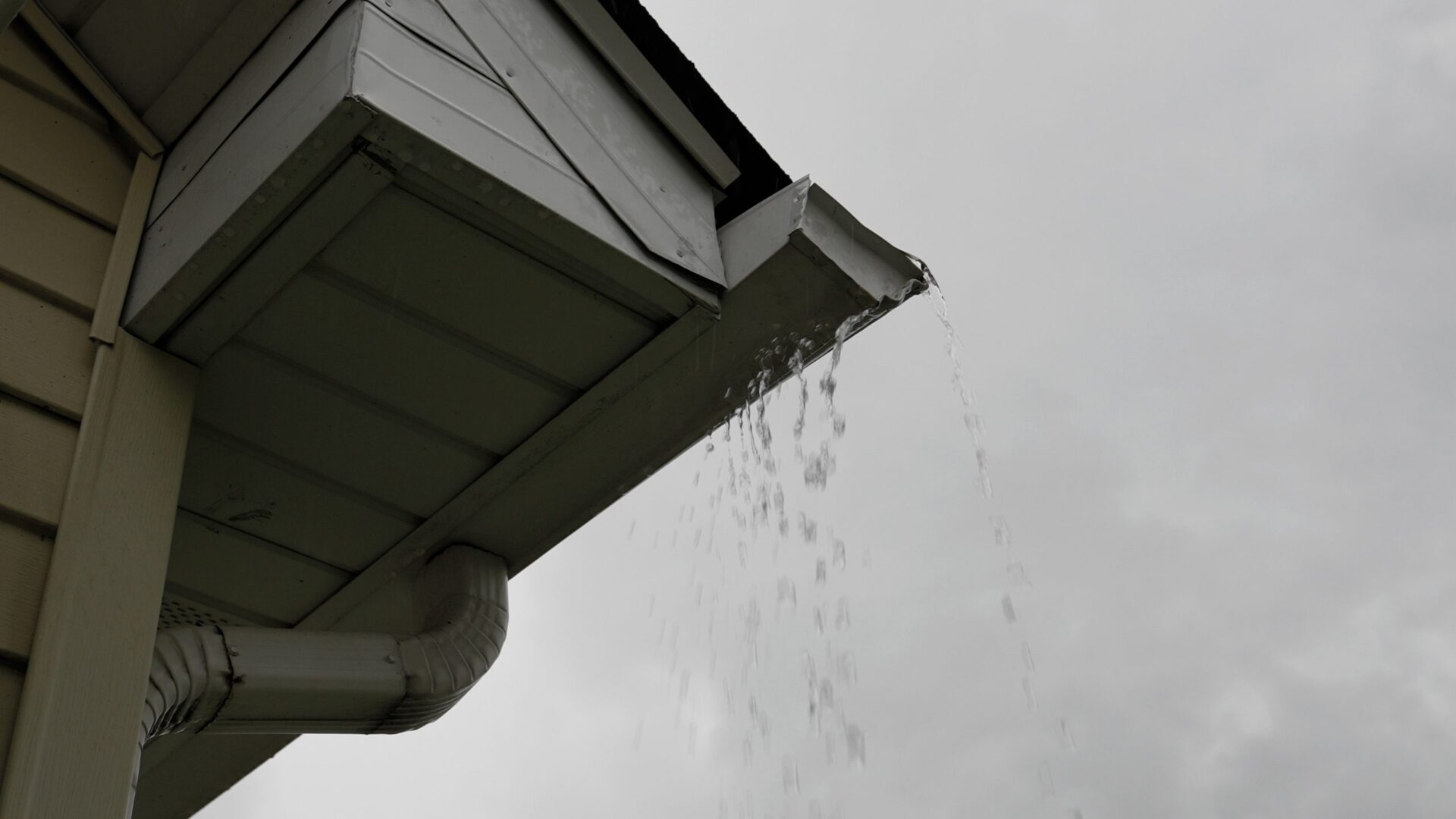 Water downspout