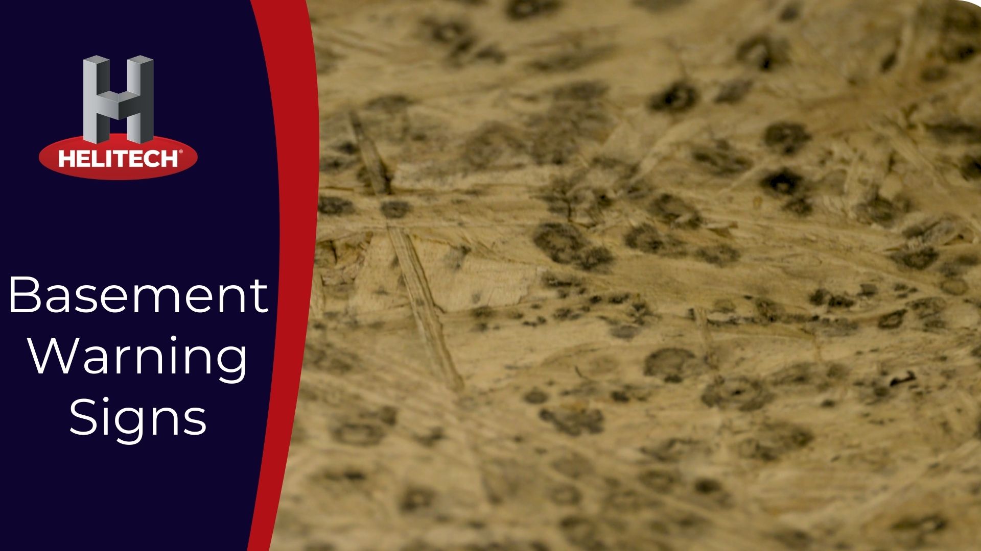 Basement waterproofing warning signs