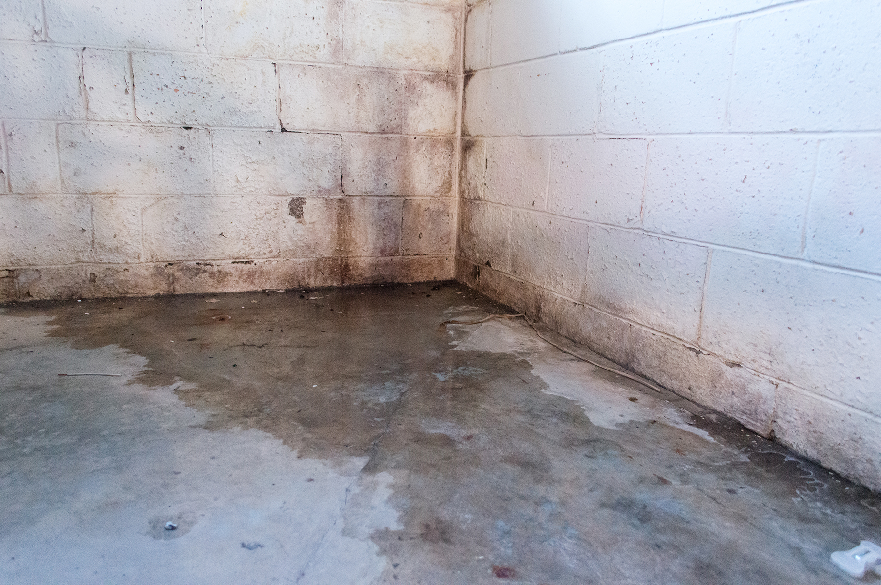 Waterproofing