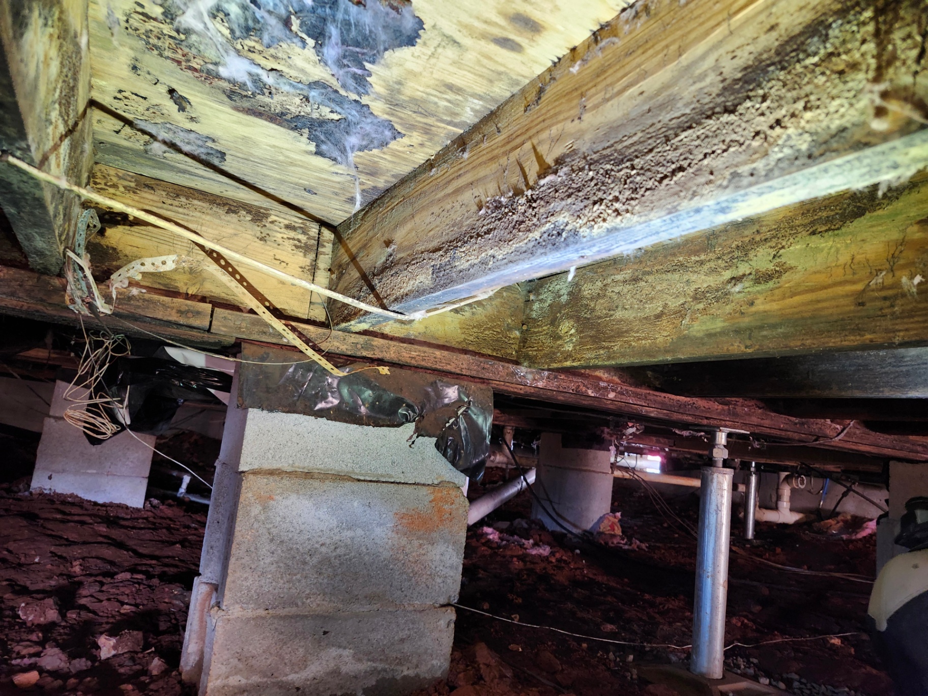 Mold-infested crawl space with visible wood rot and moisture damage on floor joists before soda blasting mold remediation by Helitech Waterproofing & Foundation Repair.